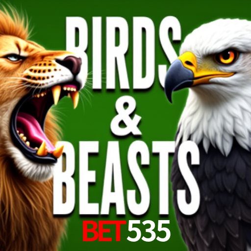 Torneios bet535